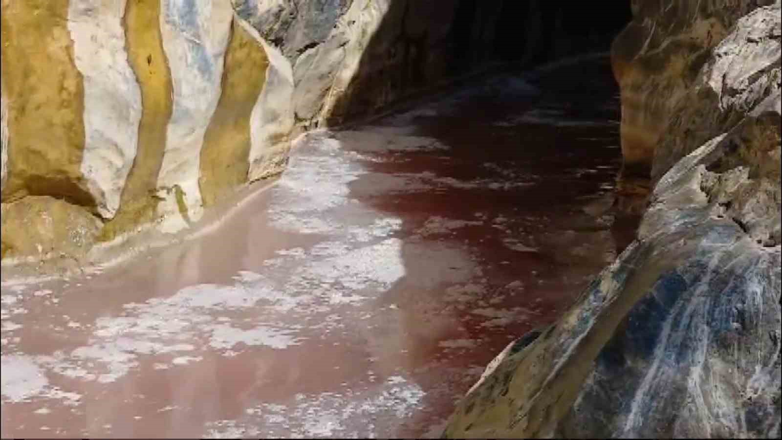 Keban’da balık işleme fabrikasının atıklarının arıtılmadan çaya döküldüğü iddiası