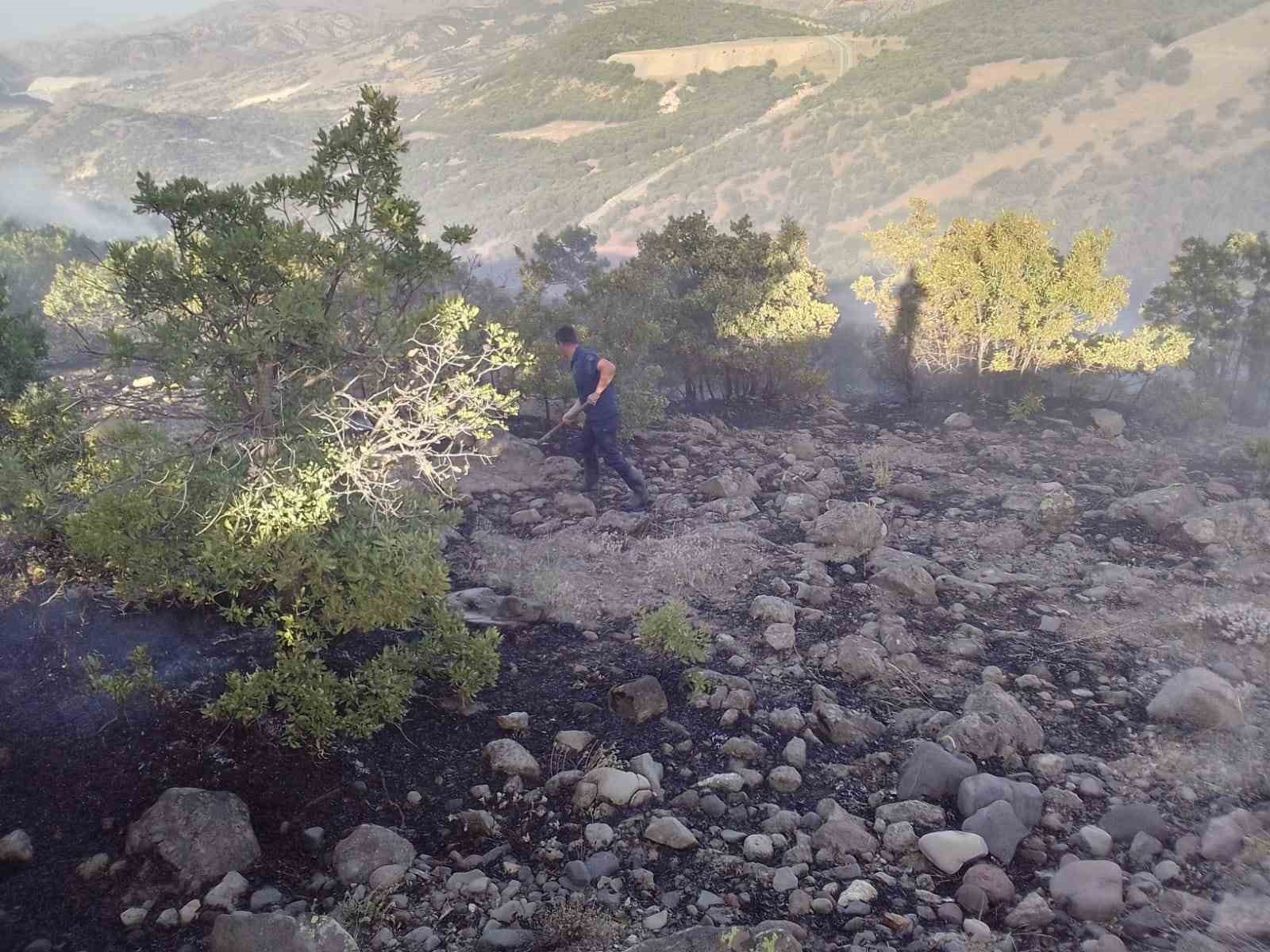 Malatya’da ormanlık alanda yangın