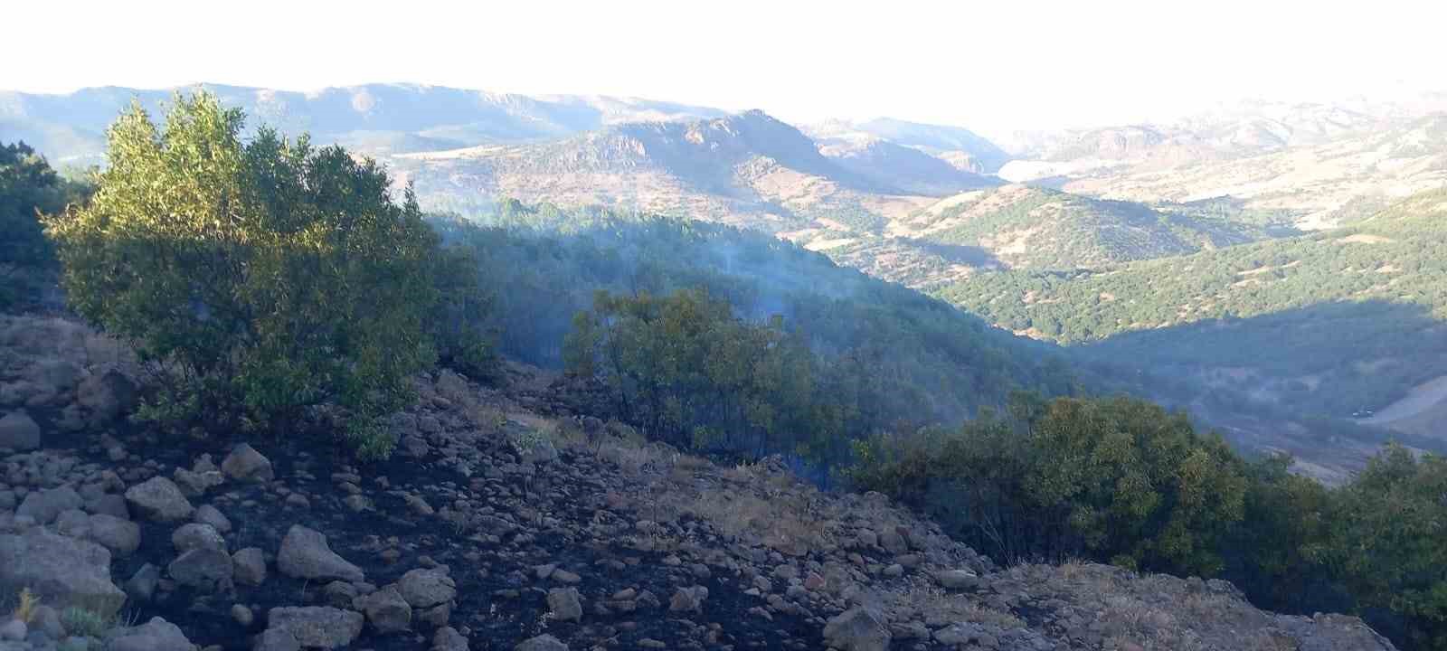 Malatya’da ormanlık alanda yangın