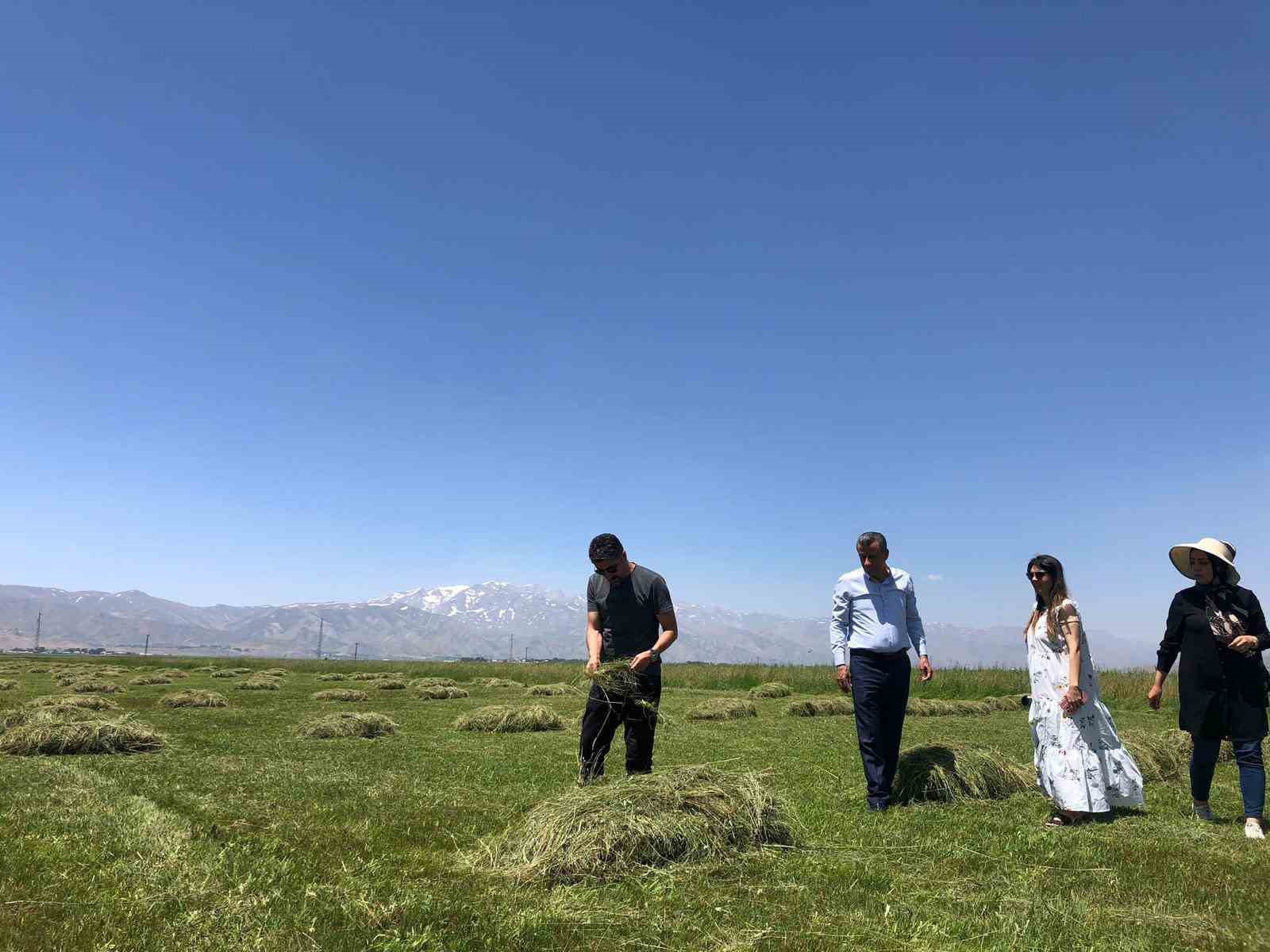 Yüksekova’da yağışlar çiftçilerin yüzünü güldürdü