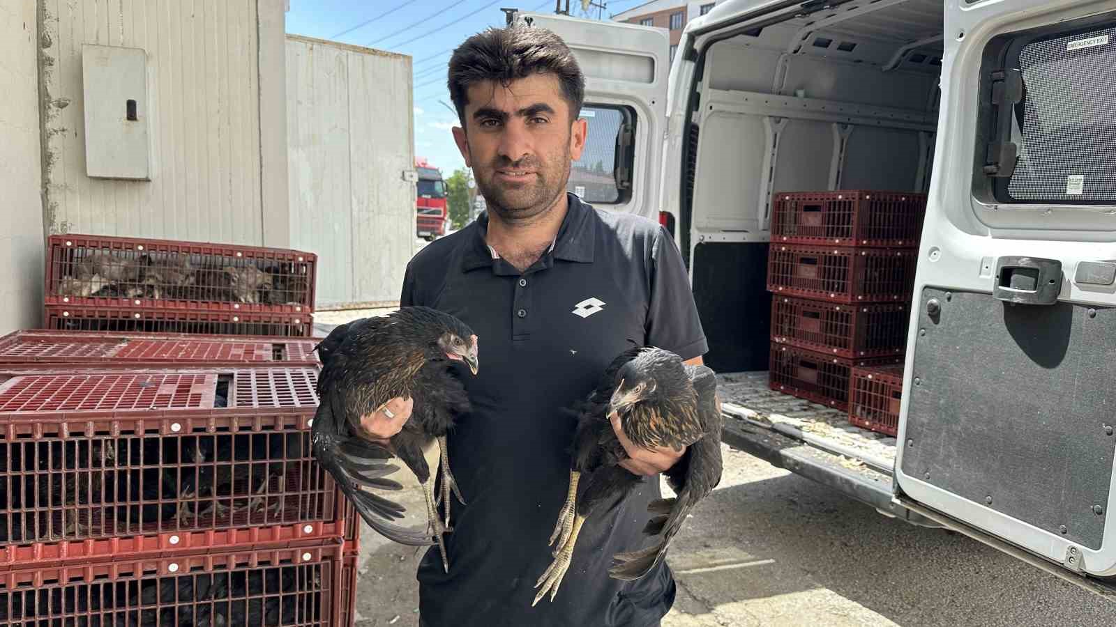Yüksekova’da 5 bin kanatlı hayvan dağıtıldı