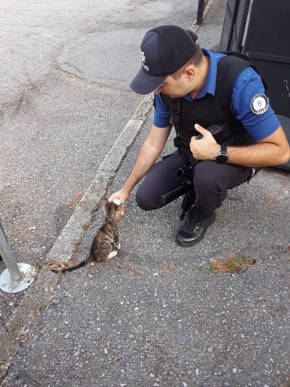 Yeni doğan kedi, polis merkezinin maskotu oldu