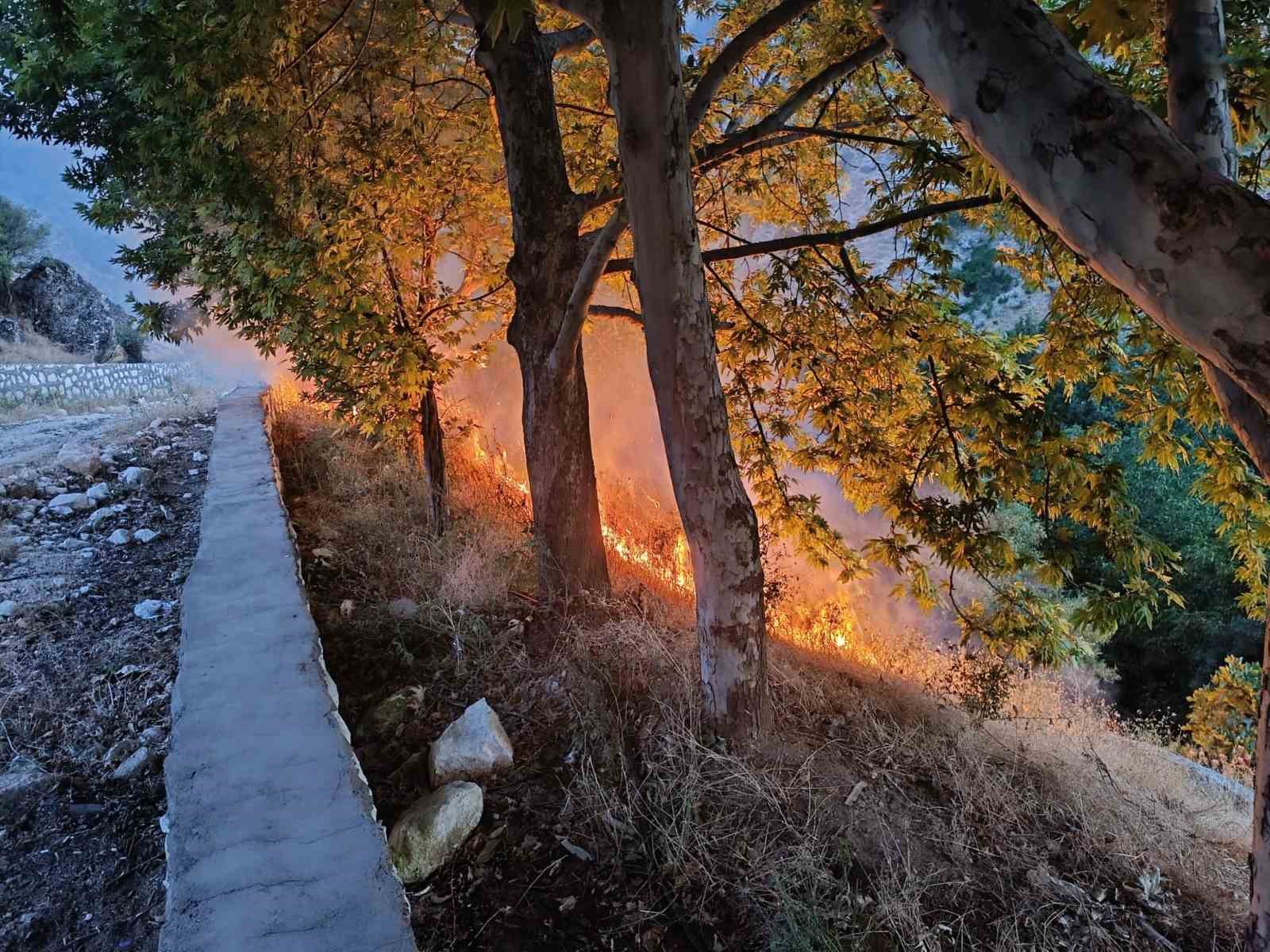 Tunceli’de otluk ve ağaçlık alanda yangın