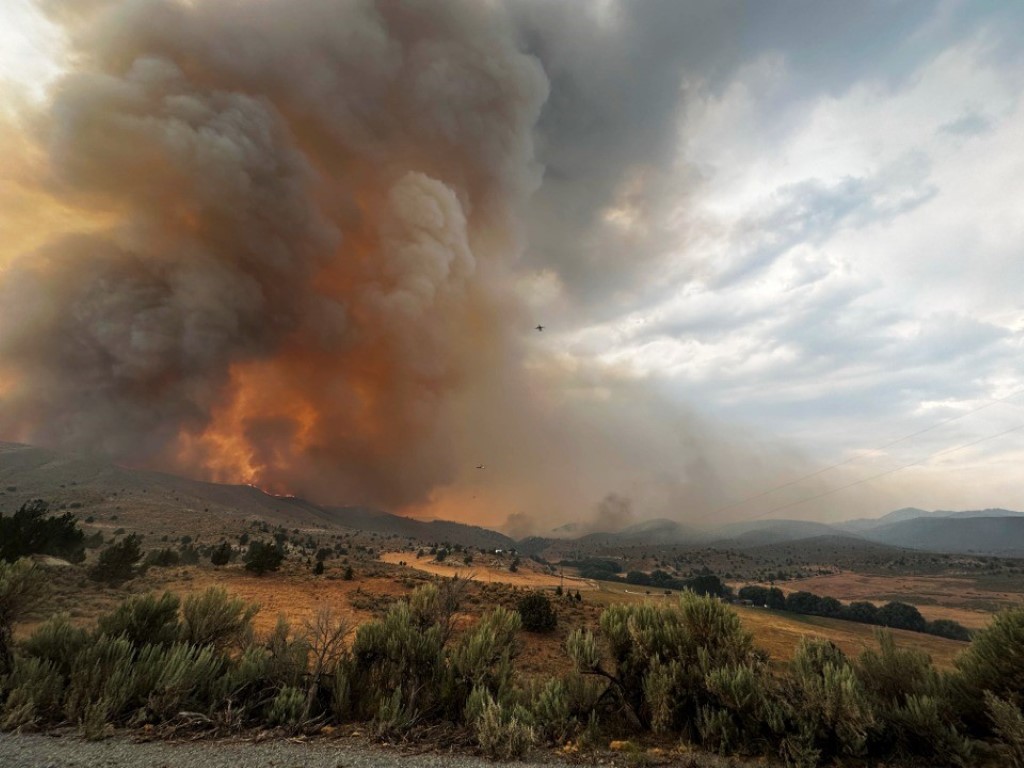ABD orman yangınlarıyla boğuşuyor