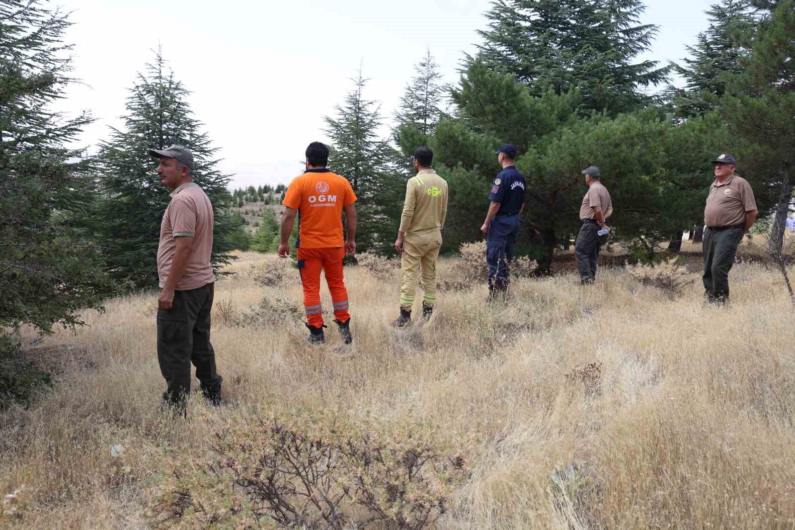 Elazığ’da orman ekipleri, havadan ve karadan denetimlerini sürdürüyor