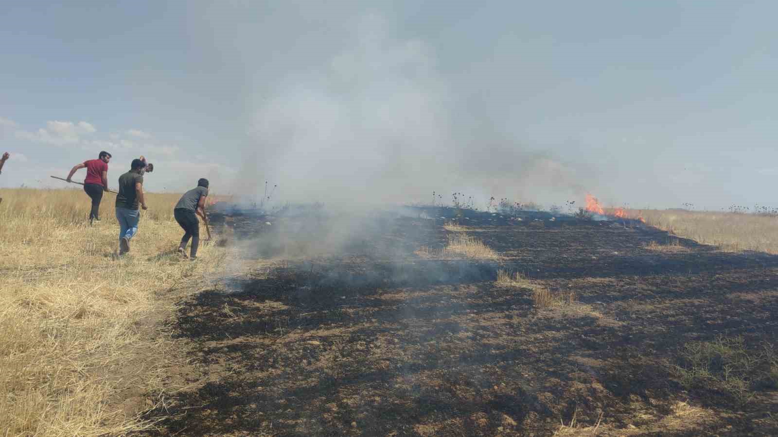 Van’da anız yangını korkuttu