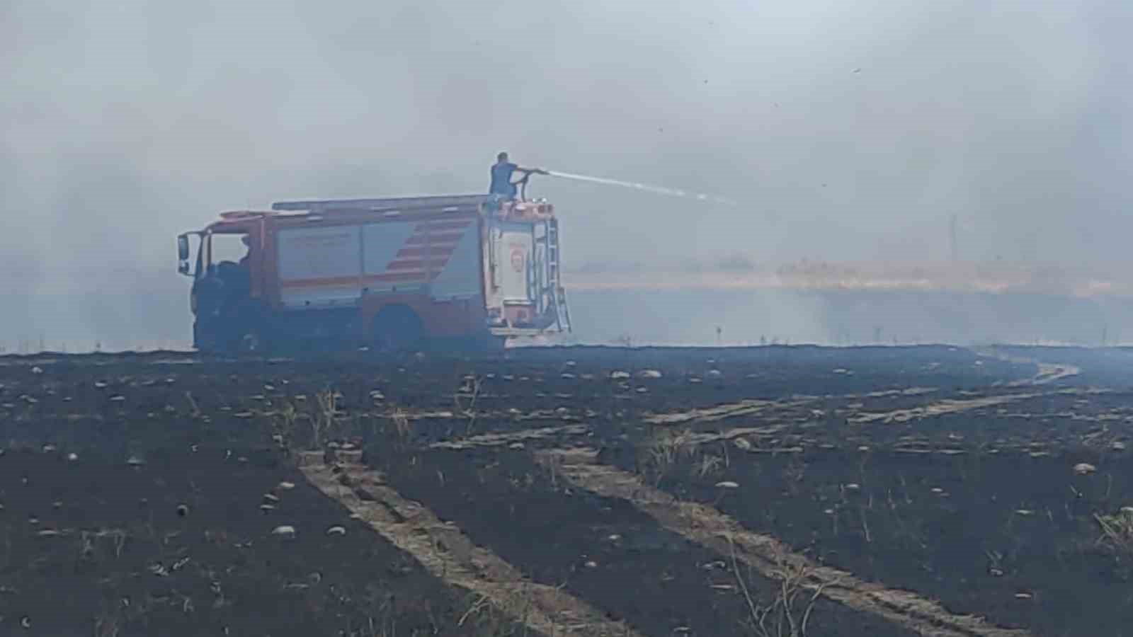 Van’da anız yangını korkuttu