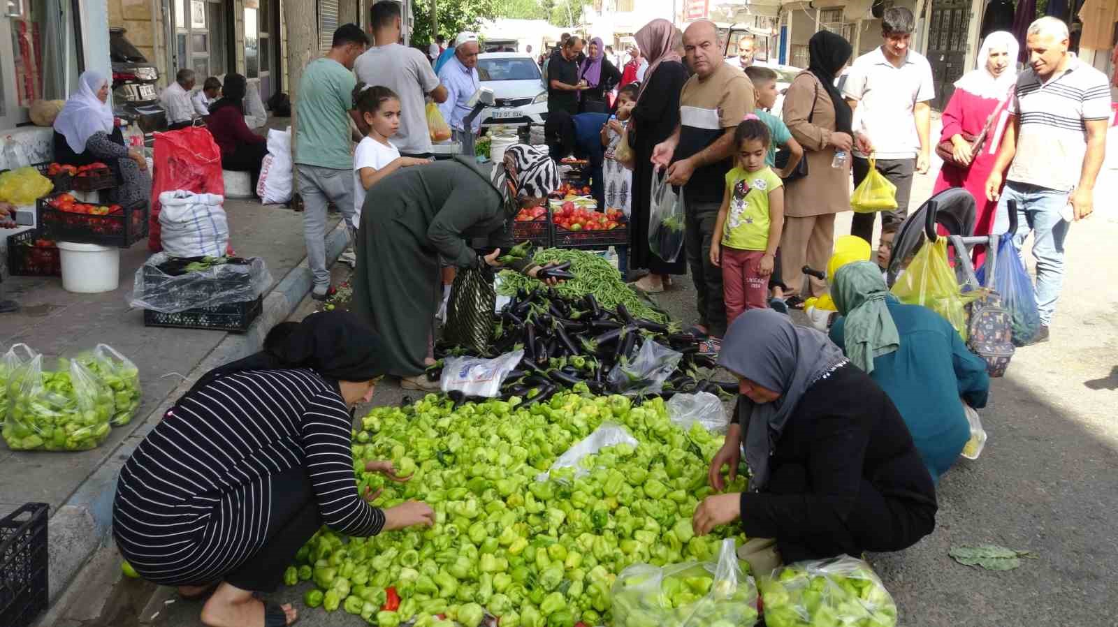 Gercüş’te organik ürünlerdeki bereket fiyatları düşürdü