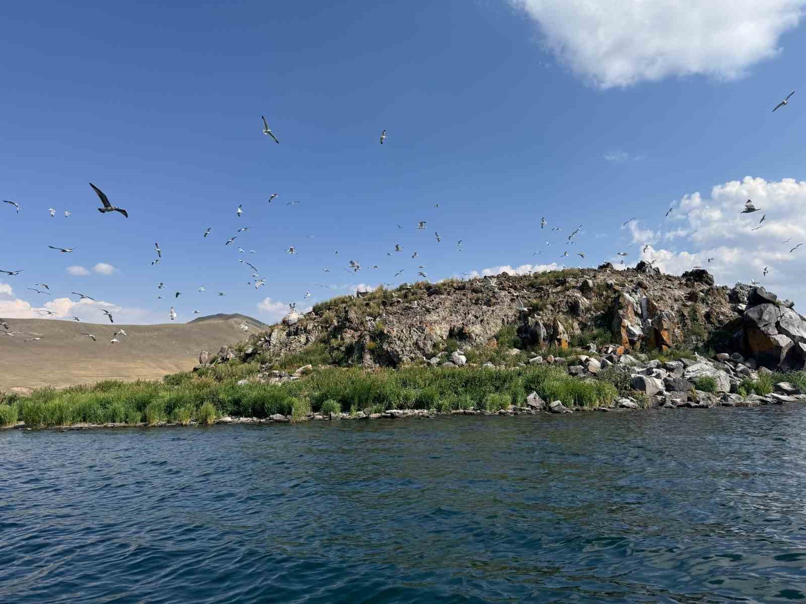 Taşlıçay Balık Gölü adasında kuşlar için temizlik seferberliği