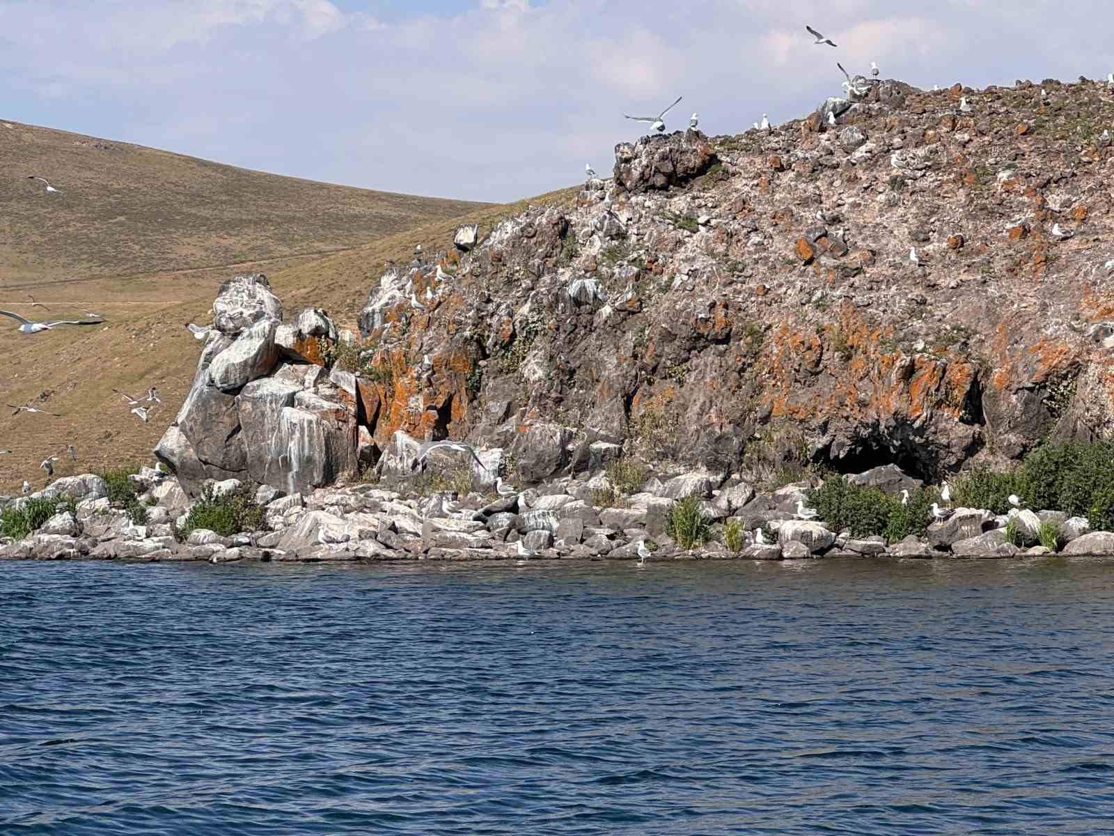 Taşlıçay Balık Gölü adasında kuşlar için temizlik seferberliği