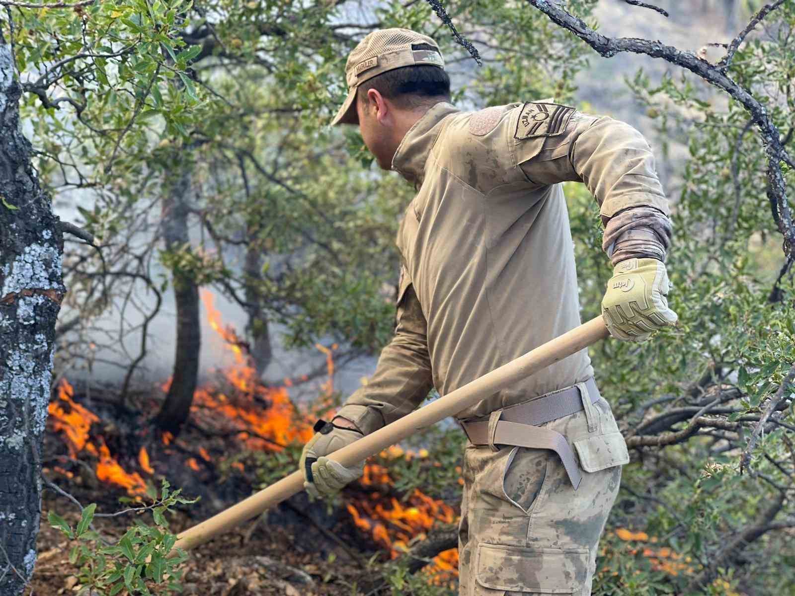 Tunceli’deki yangına, karadan ve havadan müdahale sürüyor