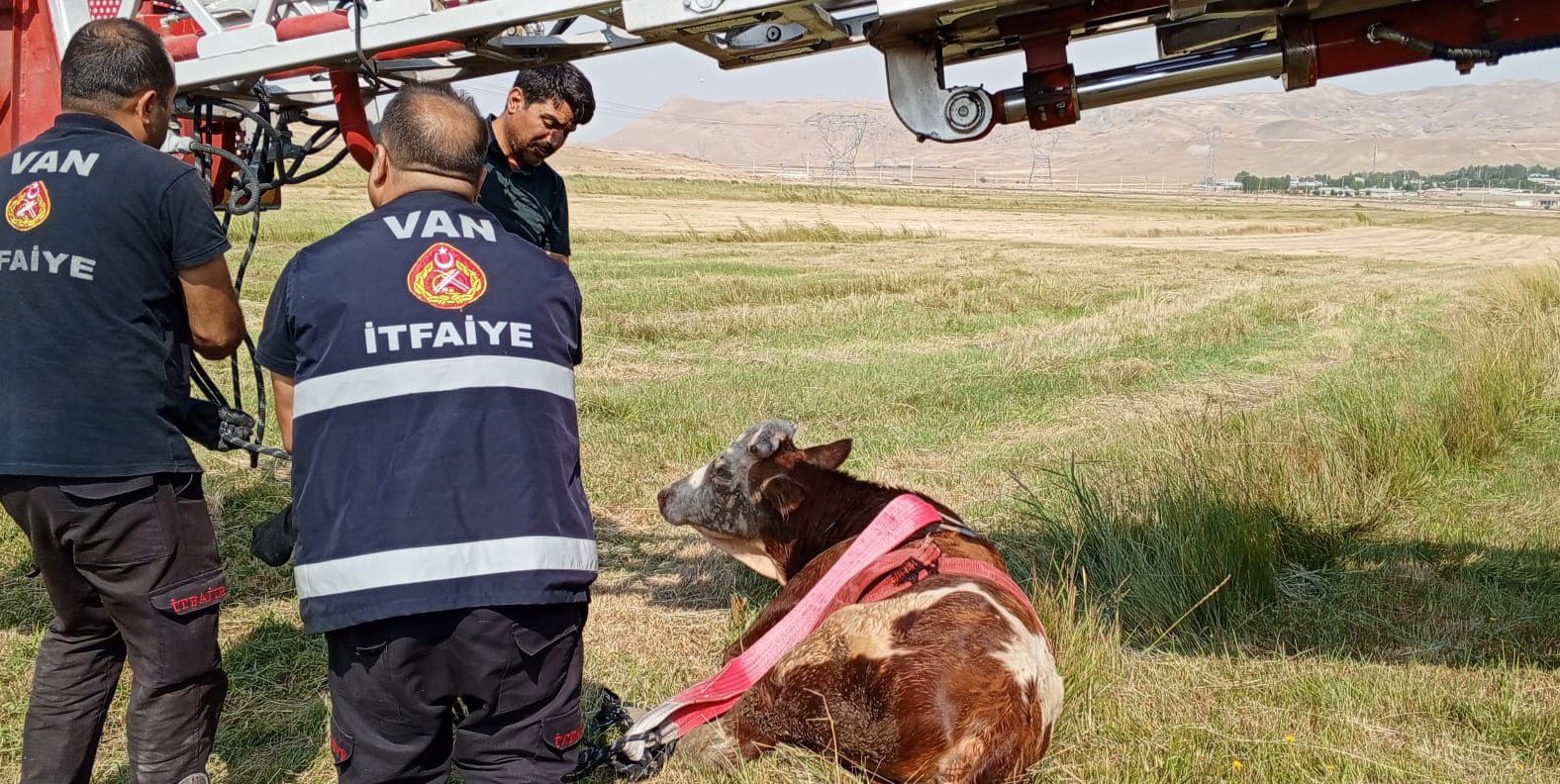 Van’da inek kurtarma operasyonu