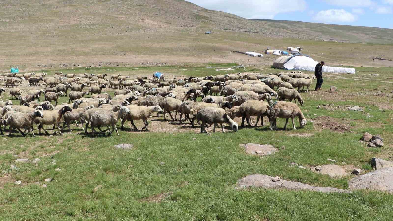 Tarımda örgütlü üretim önemli