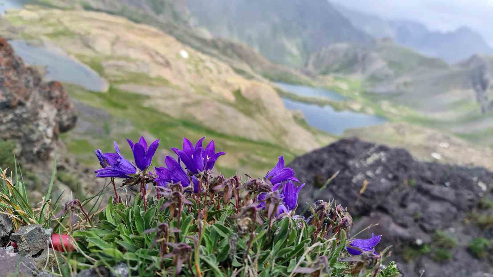 Gökyüzünün komşusu; Yedigöller