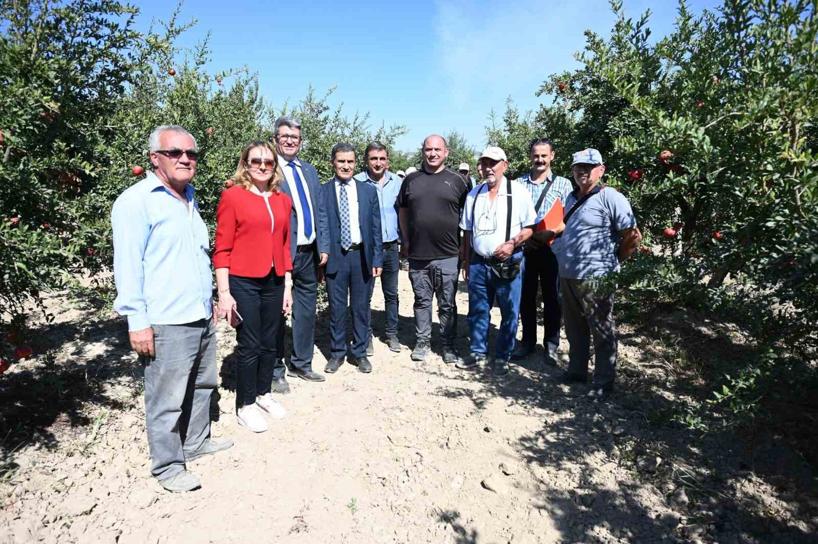 Zararlılarla mücadelede kullanılan akıllı böcekler gıda güvenliğini artırdı