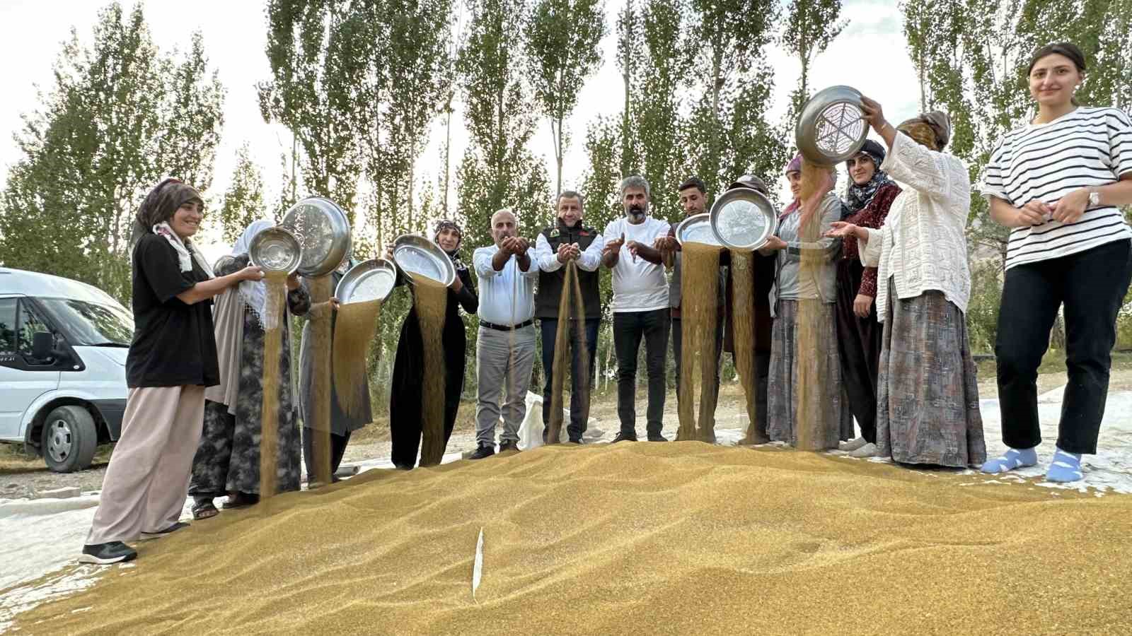 Kadın çiftçilerden eski usul yonca tohumu eleme ve ayıklama mesaisi