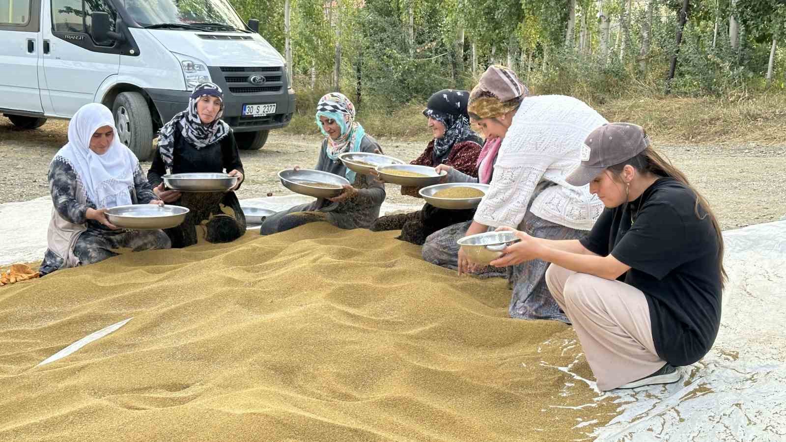 Kadın çiftçilerden eski usul yonca tohumu eleme ve ayıklama mesaisi