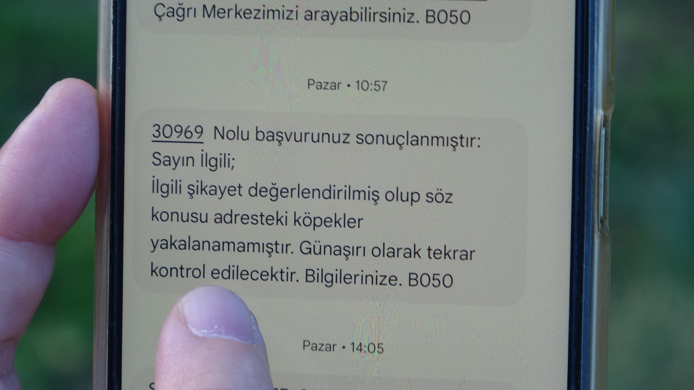 Sivas’ta başıboş köpek şiddeti