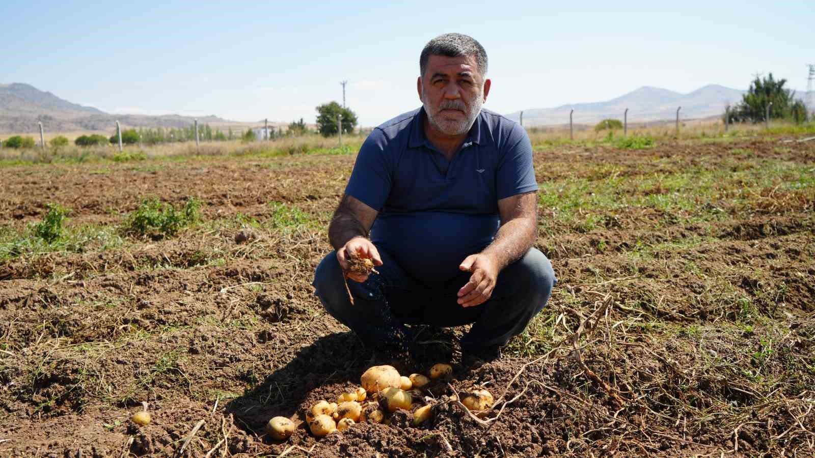 Hasat dönemi başladı: Çiftçiler, bin liranın üzerinde yevmiyeyle çalıştıracak işçi bulamakta zorlanıyor