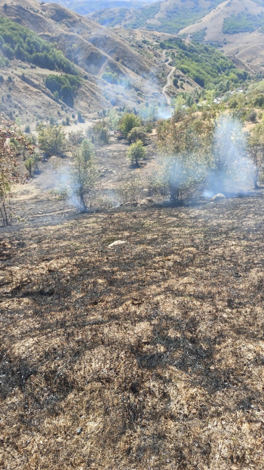 Tunceli’deki yangın ormanlık alana sıçramadan söndürüldü