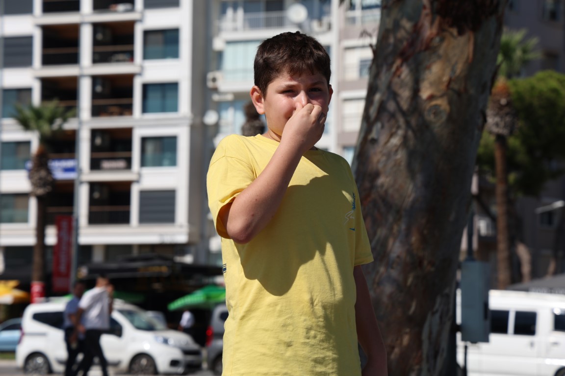 İzmir Körfezi’nde bilindik manzara: Yine binlerce ölü balık görüldü