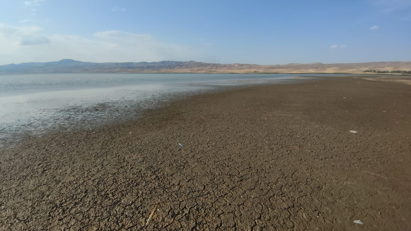 Kuş cenneti Erçek Gölü’ndeki çekilme tehlikeli seviyeye ulaştı