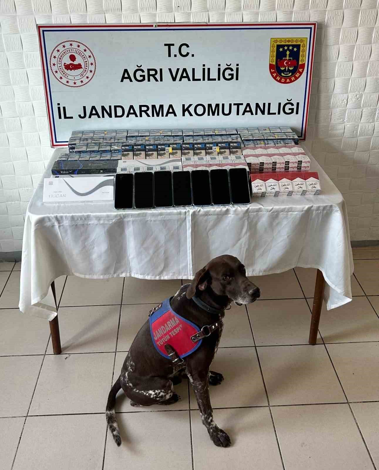 Ağrı’da binlerce paket kaçak sigara ele geçirildi