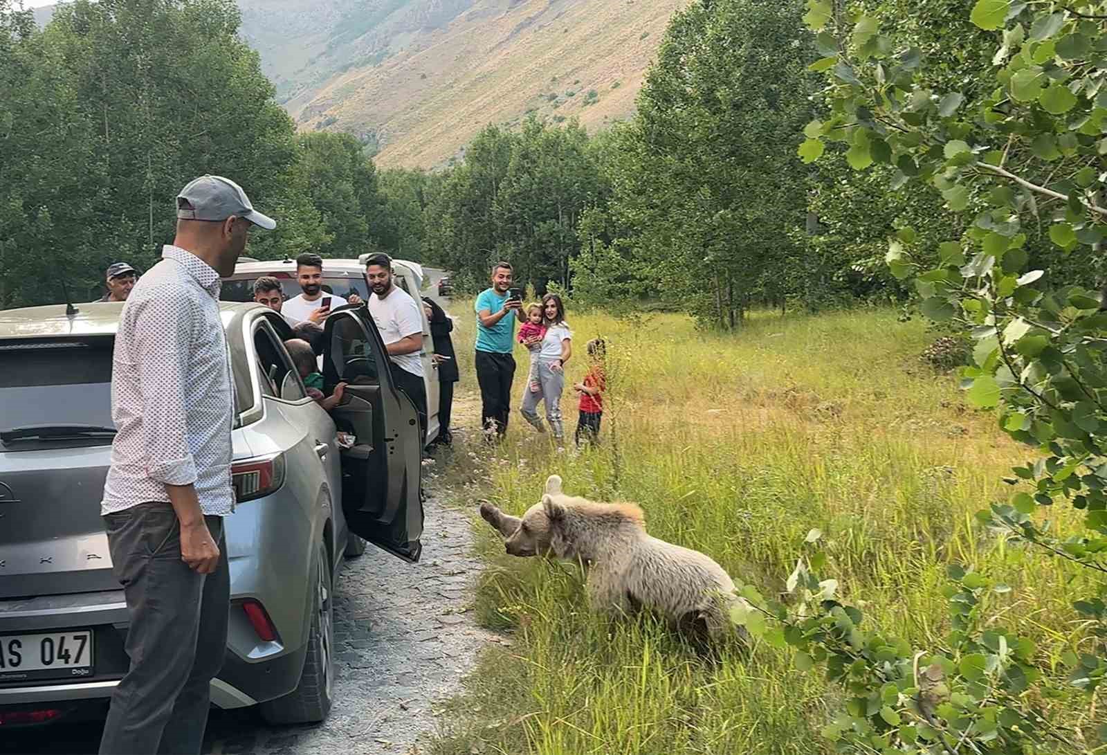 Ayı ile selfie çekip cips ikram ettiler