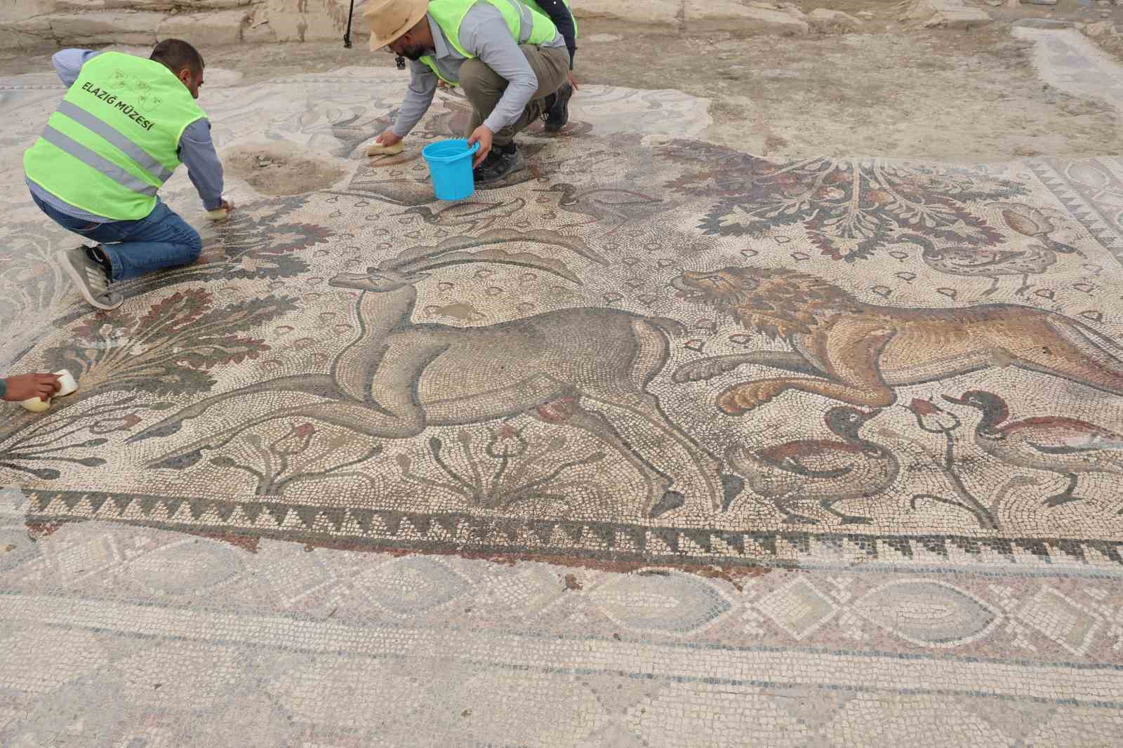 Türkiye’de bir ilk: Tek parça halinde 84 metrekarelik mozaik gün yüzüne çıkarıldı