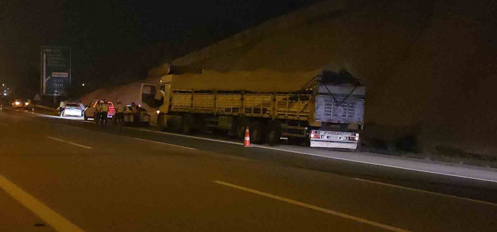 Tırdan kaçarak otoyolda trafiği durduran angus, iğneyle vurularak yakalandı