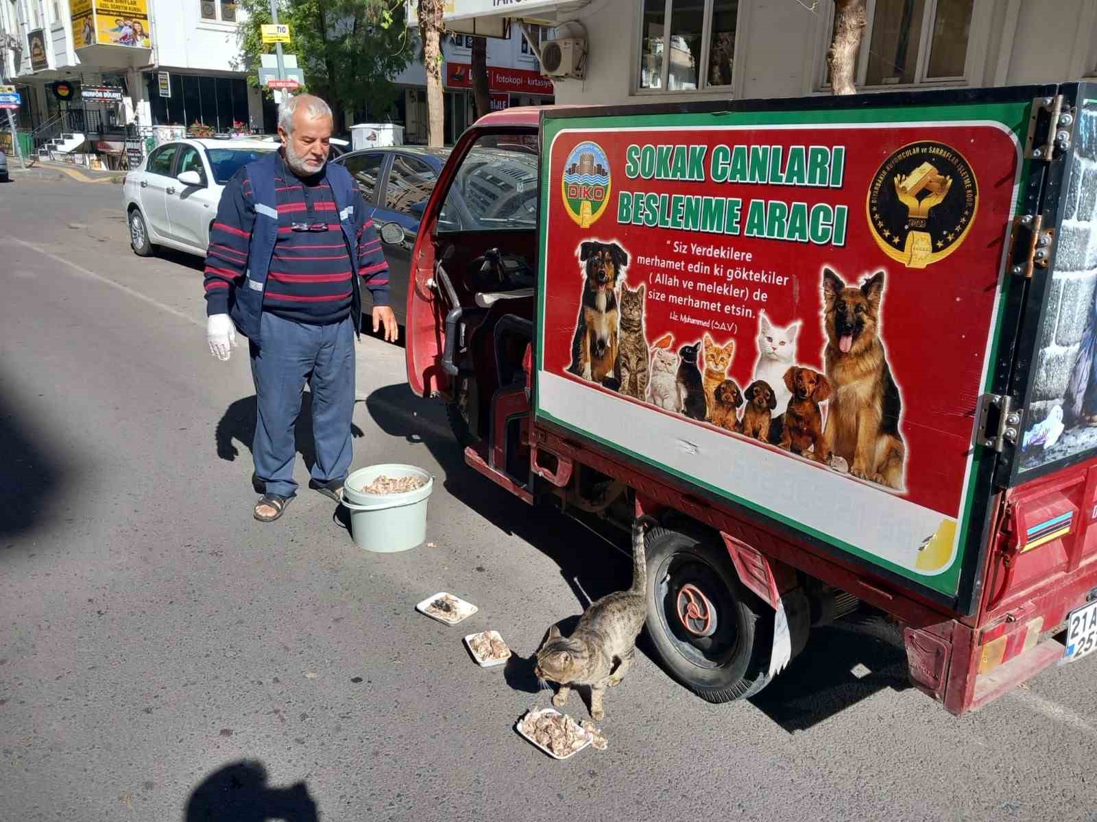 Diyarbakır’da sokak hayvanları için çağrı