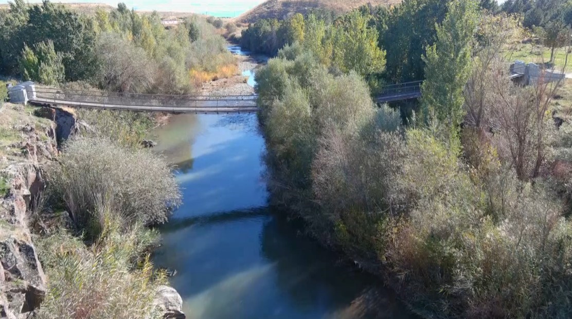 Erciş balık bendi yavru balıkların barınma alanı oldu