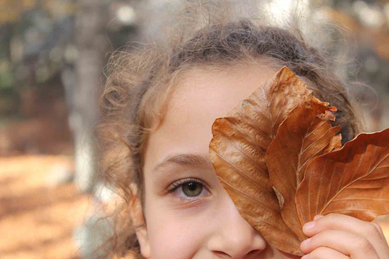 Erzincan’da ormanlık alanlarda renk cümbüşü başladı