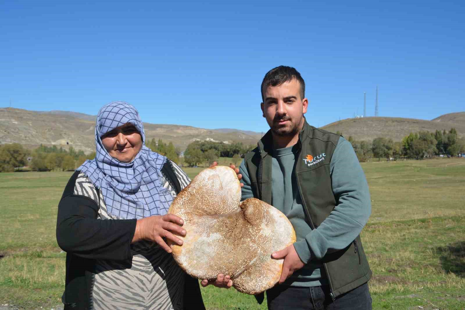 Sarıkamış’ta üretilen peynir işkembeye dolduruluyor