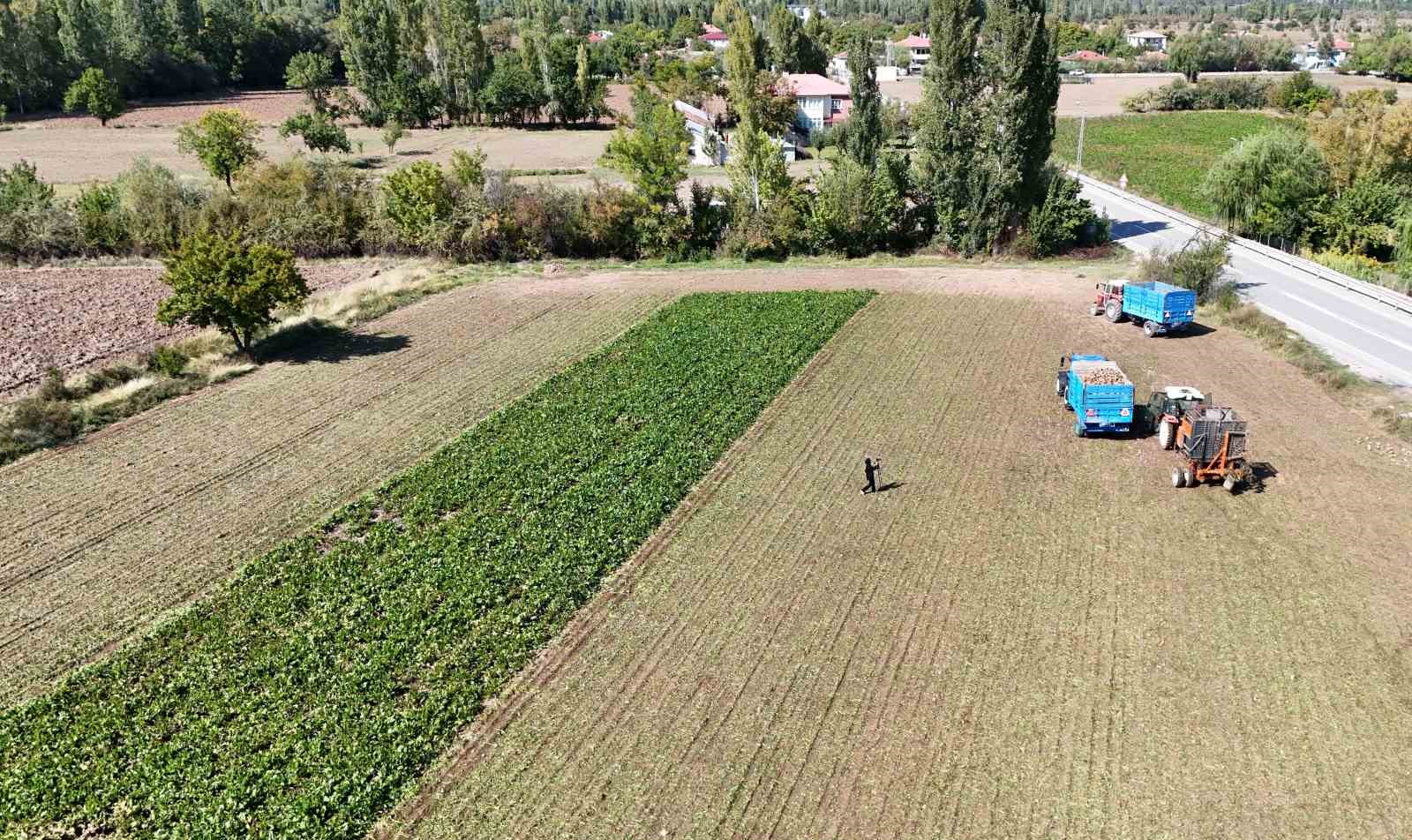 Erzincan’ın bereketli topraklarında pancar hasadı başladı