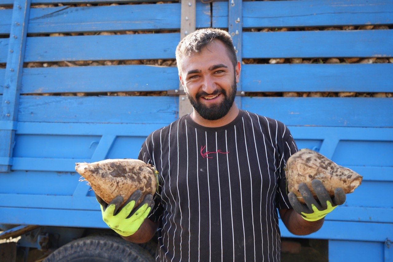 Erzincan’ın bereketli topraklarında pancar hasadı başladı