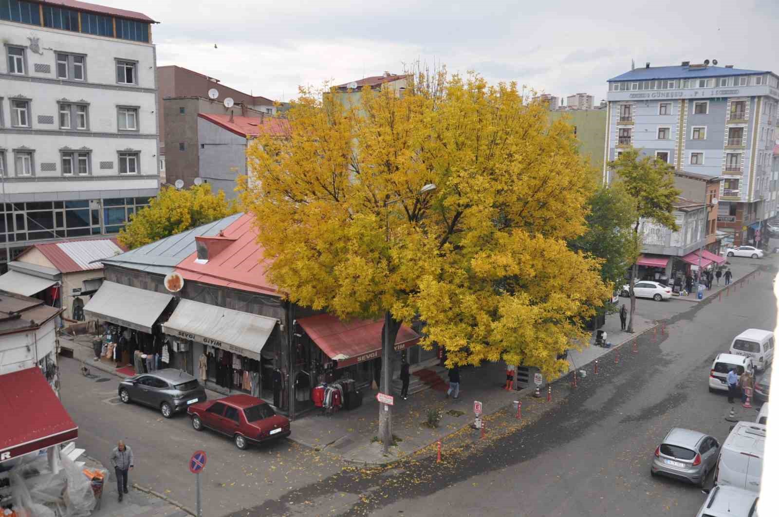 Kars’ta sonbahar güzelliği