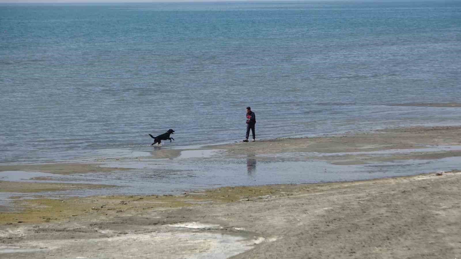 Kayıp öğrenci Rojin için AFAD’dan köpekli arama