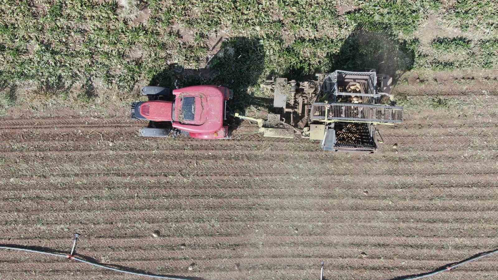 Elazığ’da 37 bin dönüm alanda pancar hasadı başladı