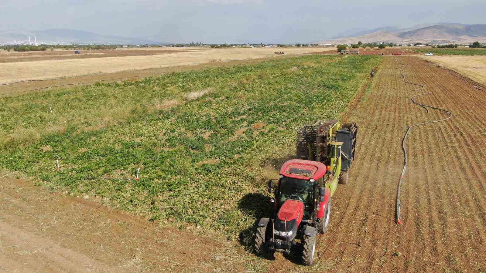 Elazığ’da 37 bin dönüm alanda pancar hasadı başladı