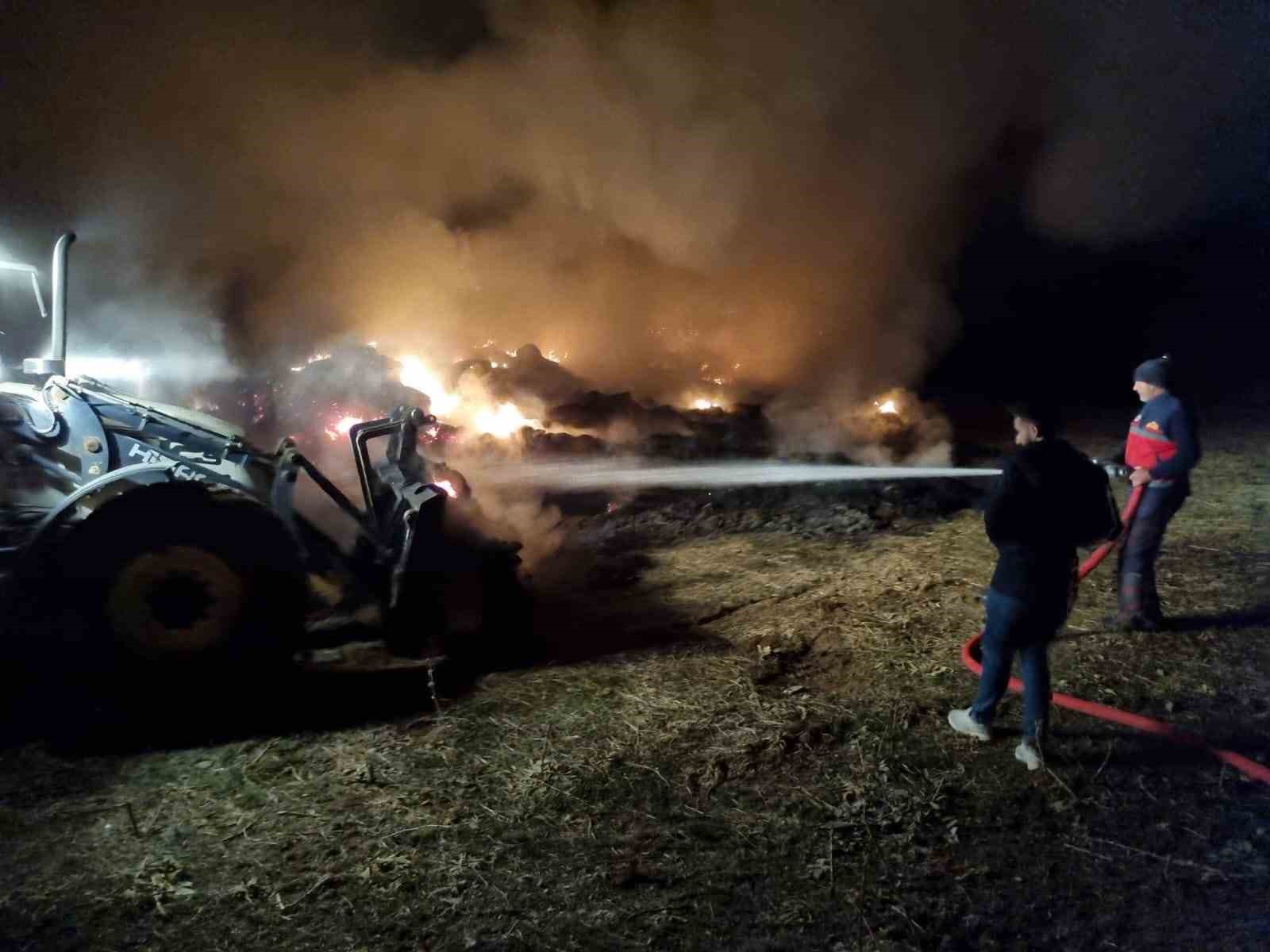 Van’da 9 bin bağ ot yandı