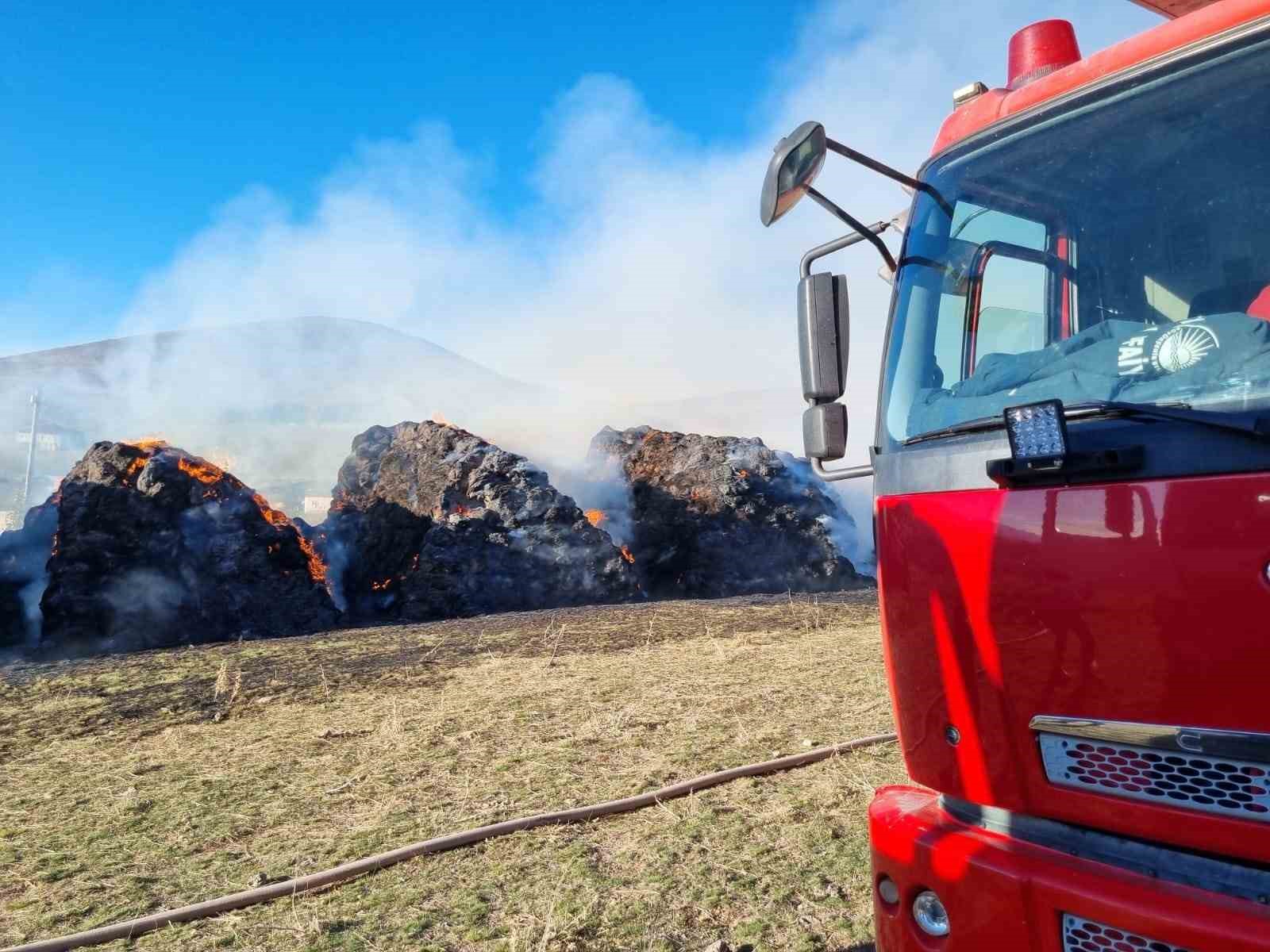 Van’da 9 bin bağ ot yandı