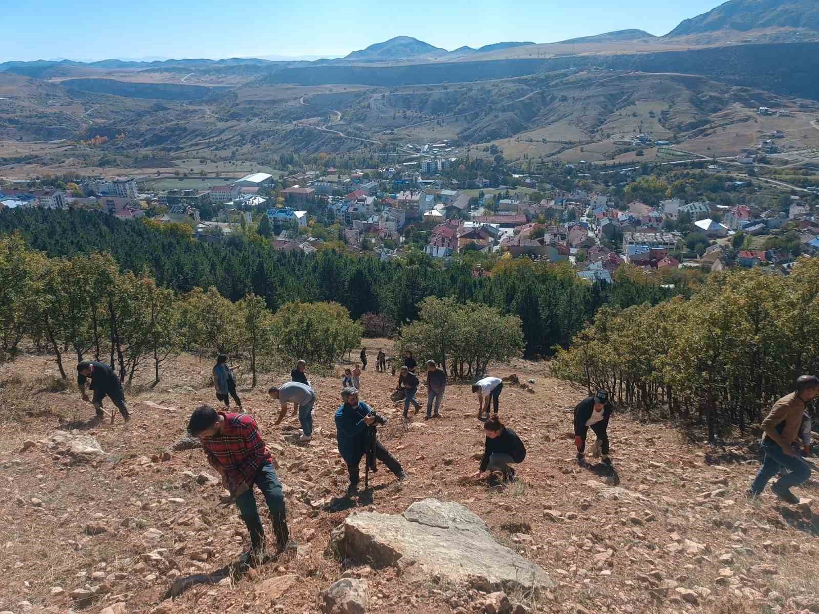 Tunceli’de bin meşe palamudu toprakla buluşturuldu