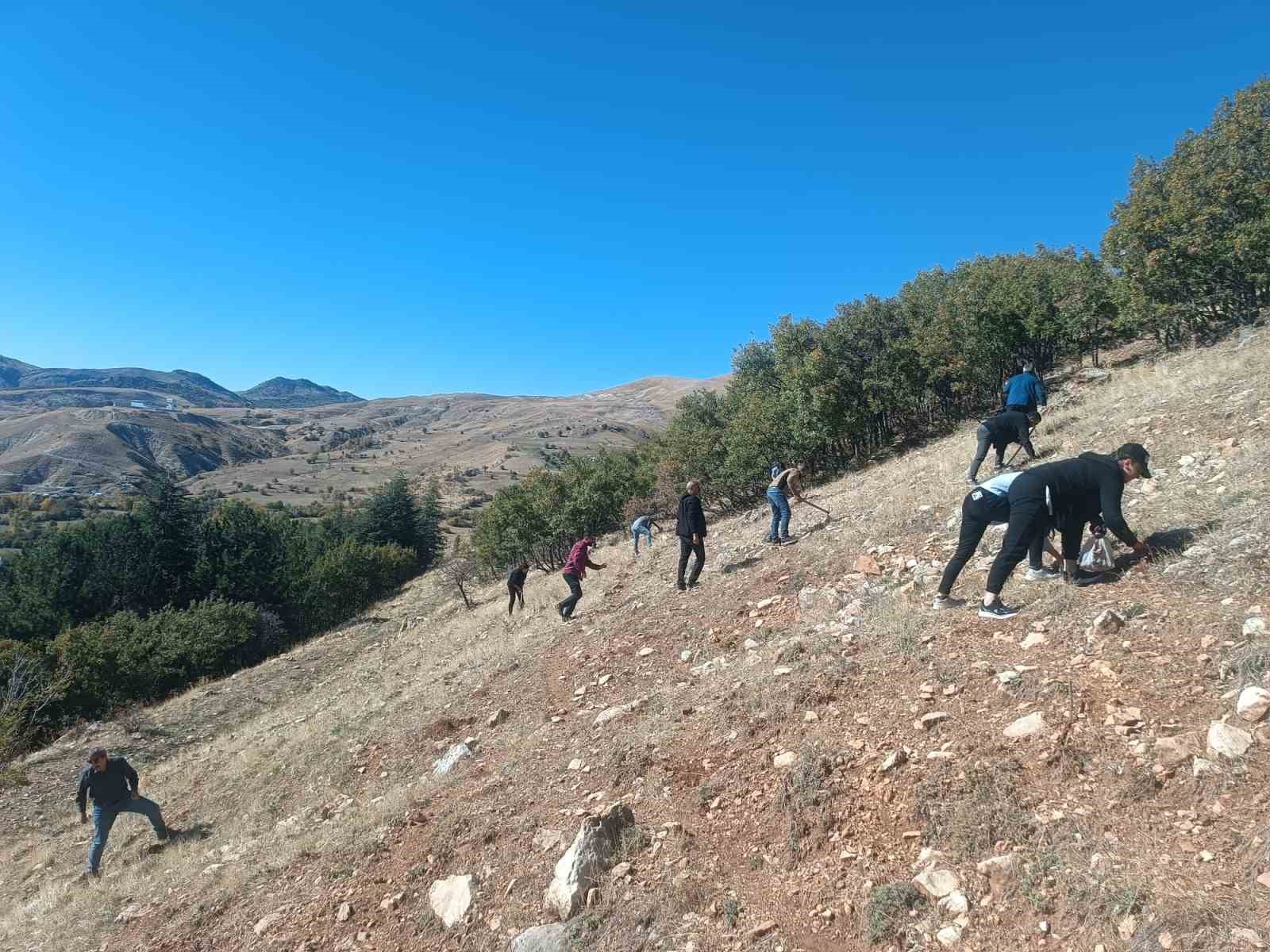 Tunceli’de bin meşe palamudu toprakla buluşturuldu