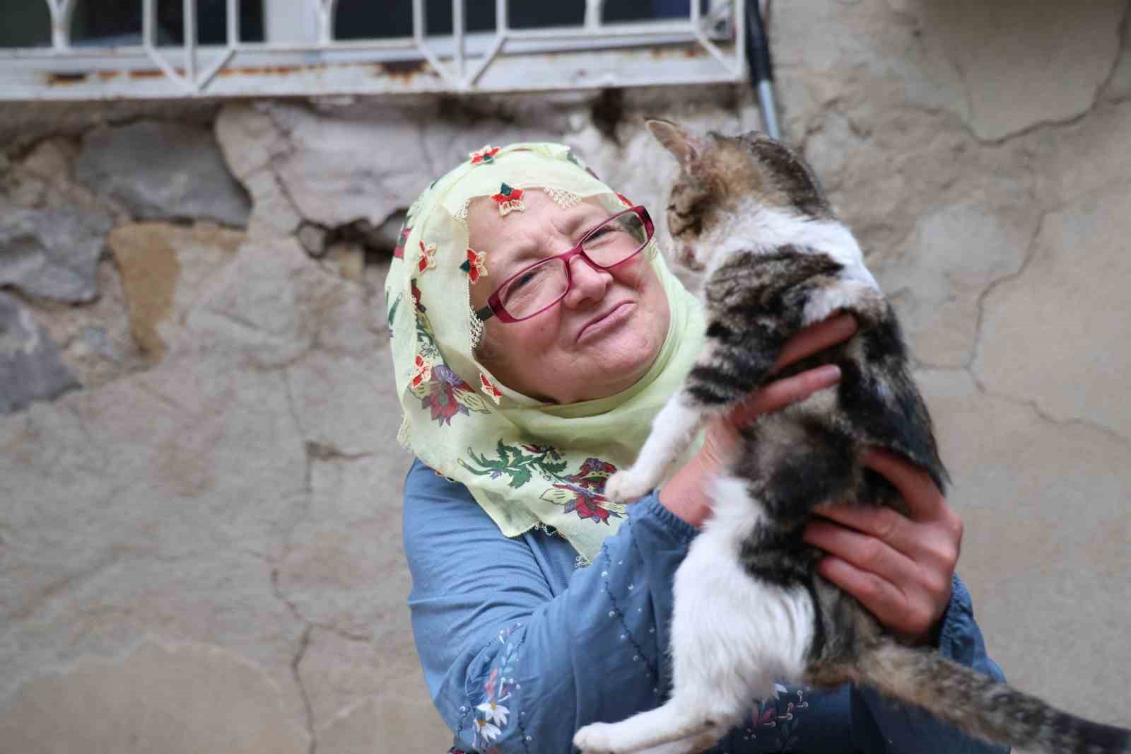 Ömrünü kedilere adadı: 11 yıldır 70 kediye bakıyor