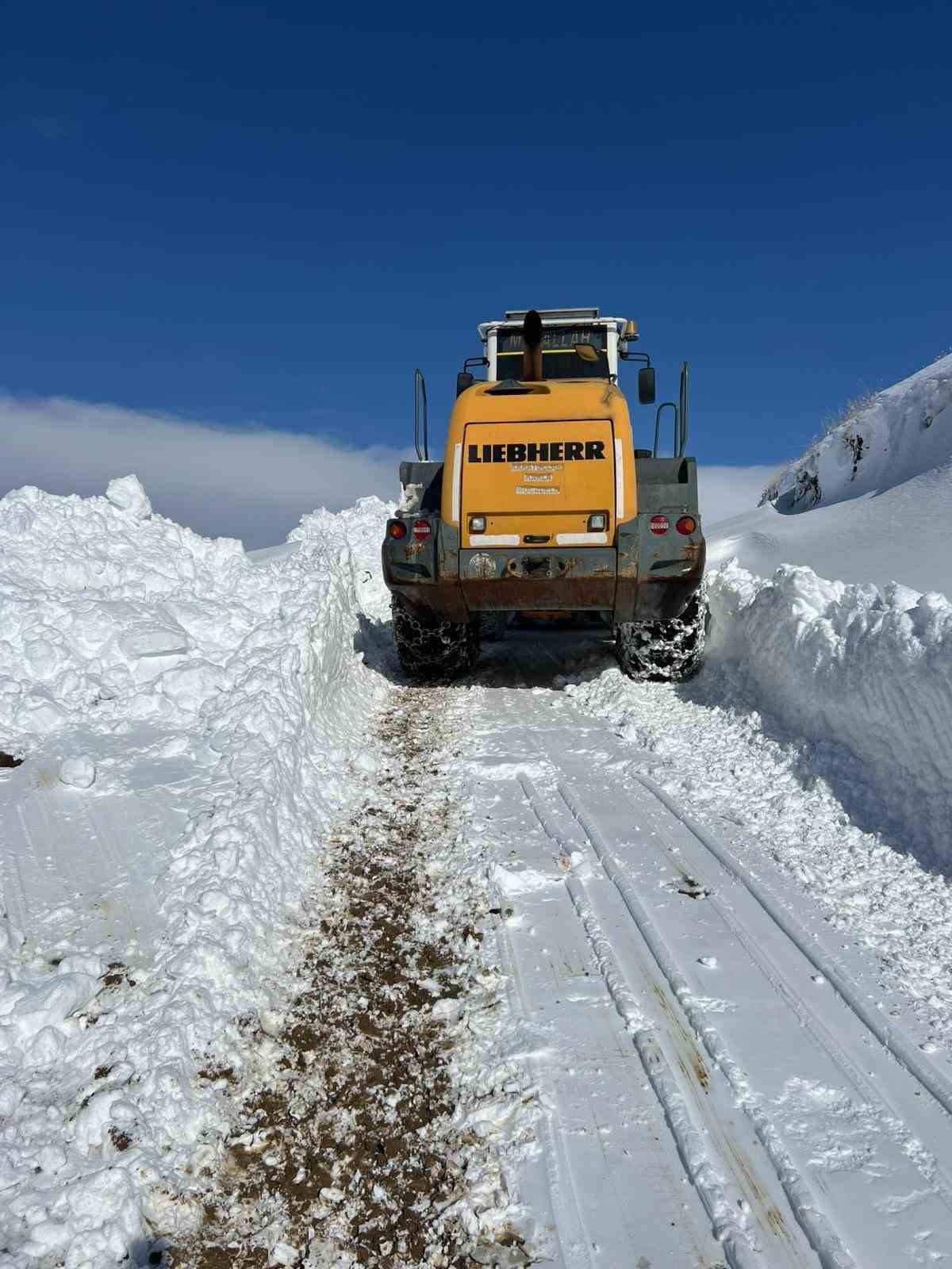 Hakkari’de kar kalınlığı bir metreyi buldu