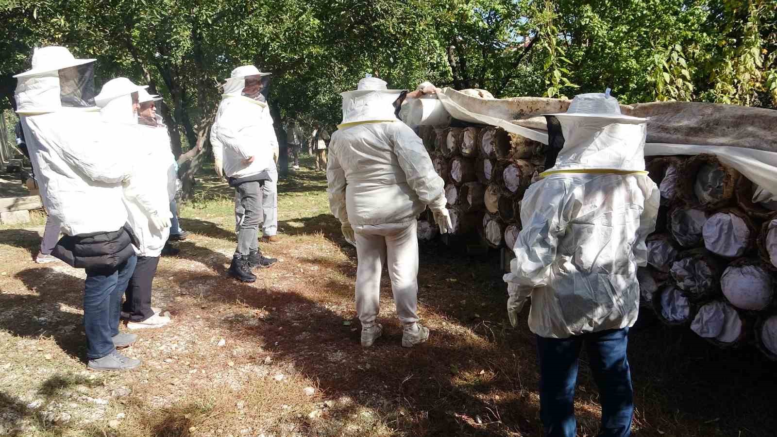 Yerli turistler Van balına hayran kaldı