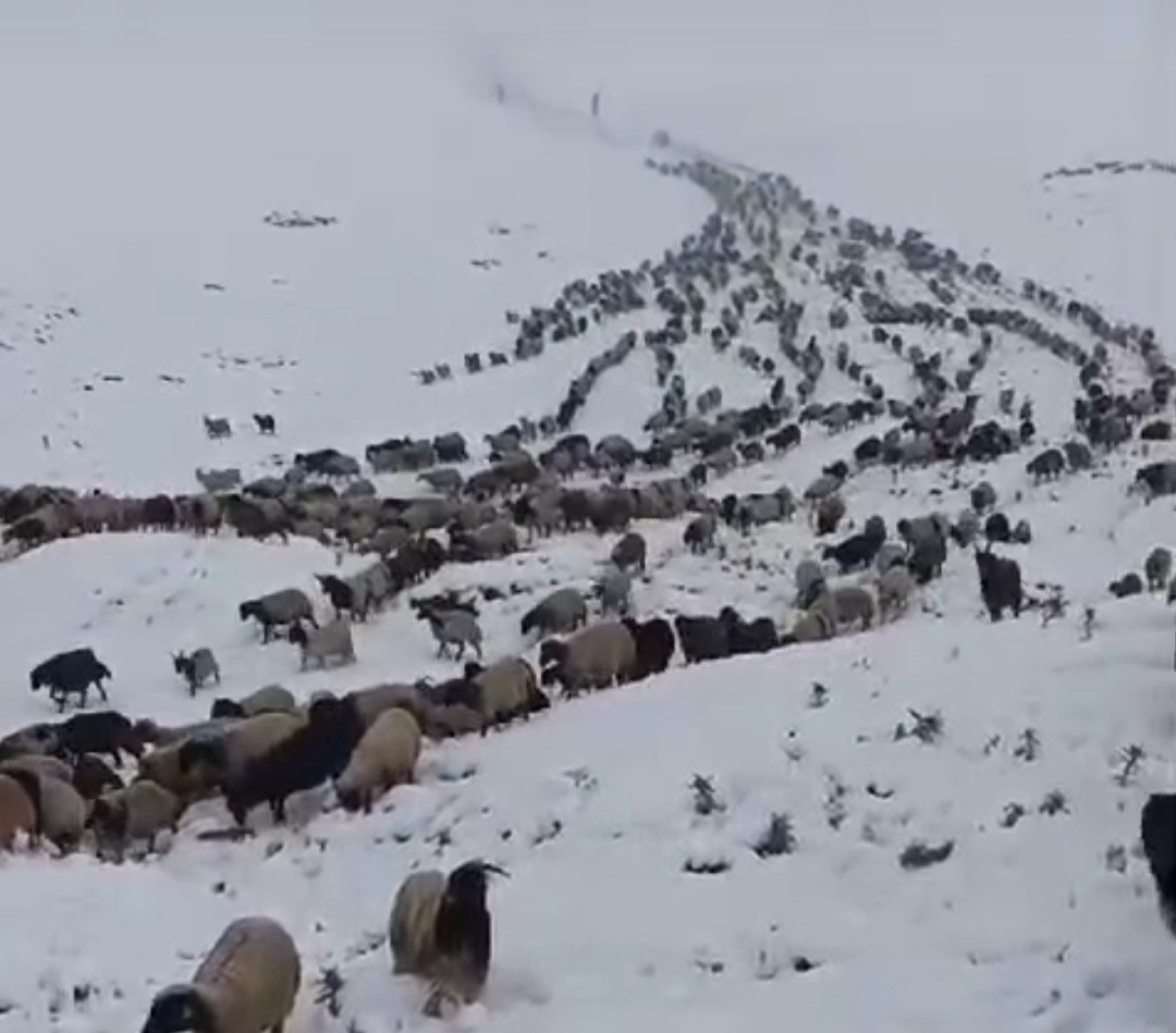 Başkale’de kar etkili oldu, yollar kapandı