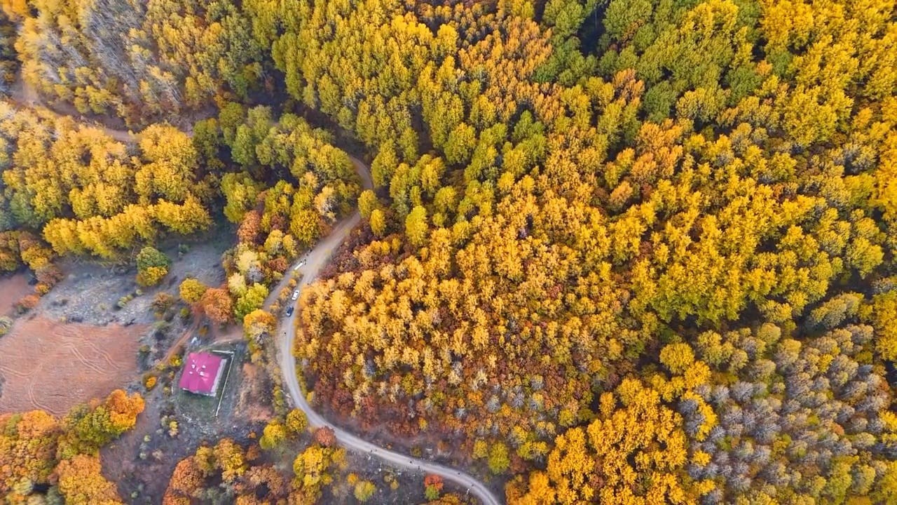 Tunceli’de sonbaharın renkleri dron kamerasında