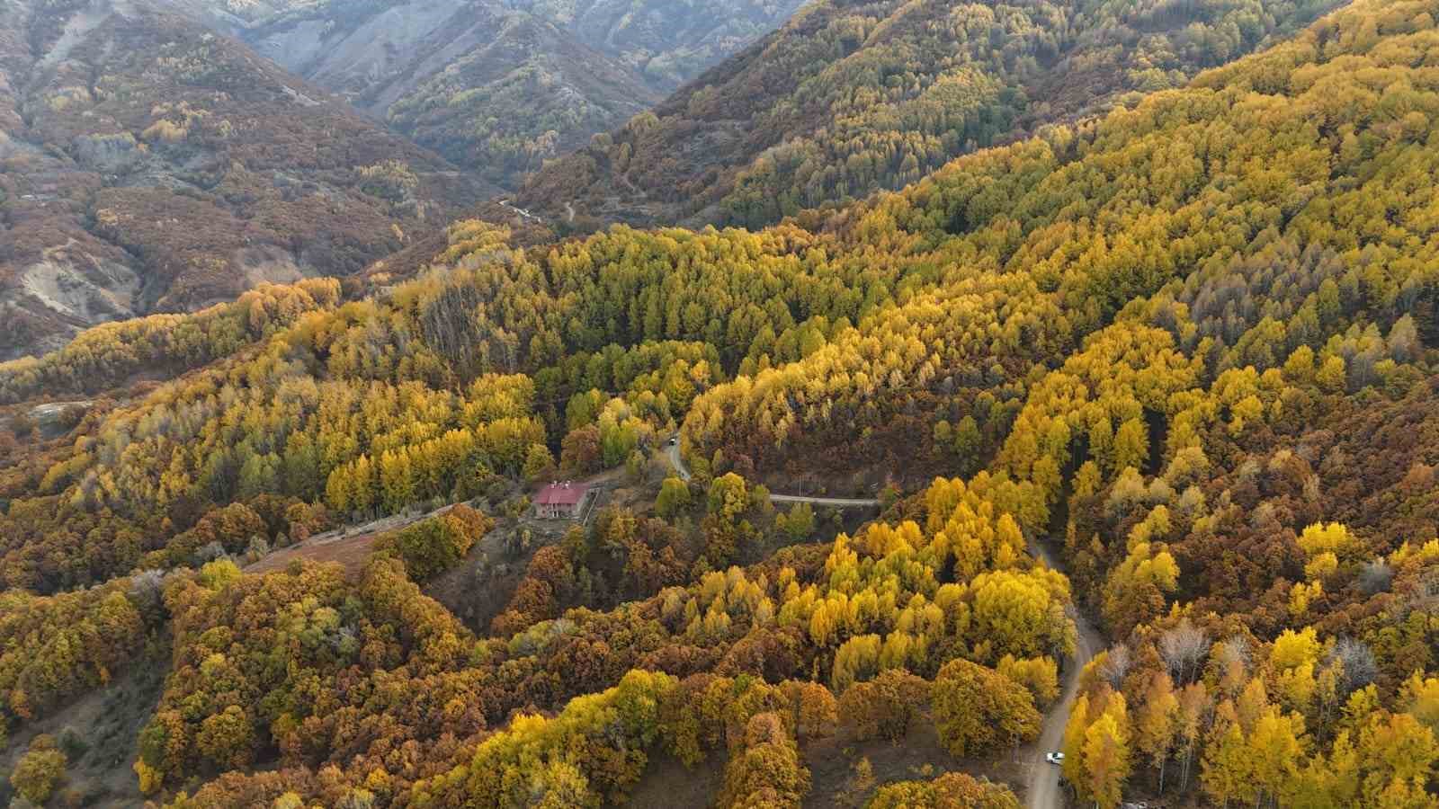 Tunceli’de sonbaharın renkleri dron kamerasında